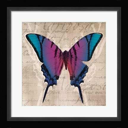 Framed Butterflies IV Print