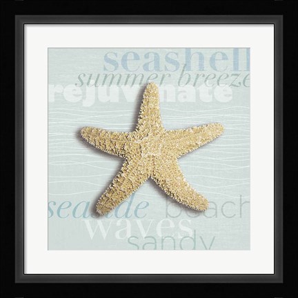 Framed Beach Collection II Print