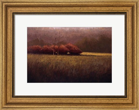 Framed Young Maples Print