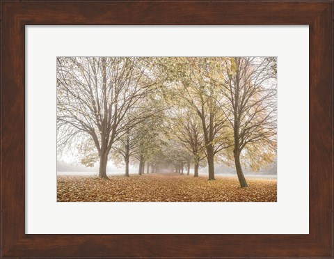 Framed Autumn&#39;s Peace Print