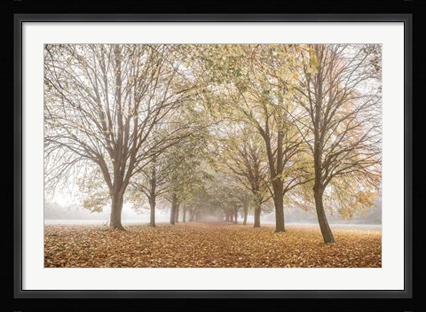 Framed Autumn's Peace Print