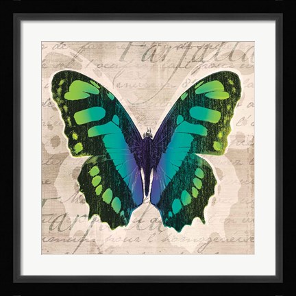 Framed Butterflies II Print