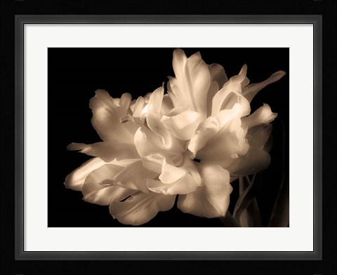 Framed Double Dappled I Print
