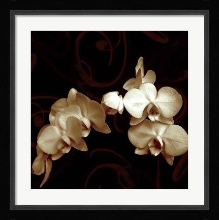 Framed Elegance Print