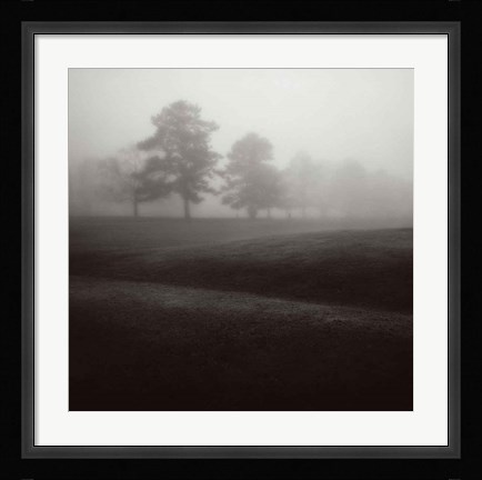 Framed Fog Tree Study II Print