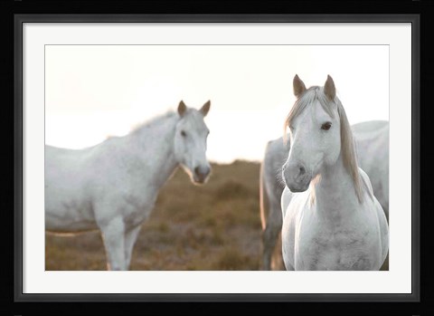 Framed Haven't Met You Yet Print