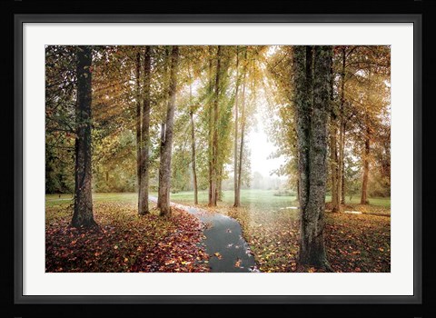 Framed Following The Light Print