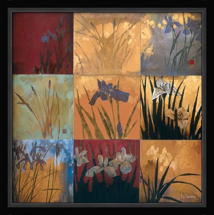 Framed Iris Nine Patch II Print