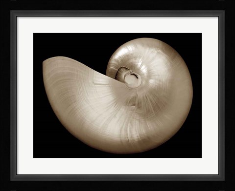 Framed Ocean Keepsake I Print