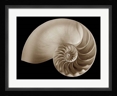 Framed Ocean Keepsake II Print