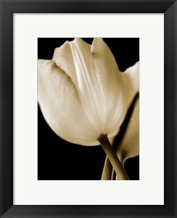 Framed Radiance I Print
