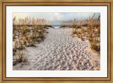 Framed Path To The Beach Print
