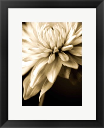 Framed Radiance IV Print