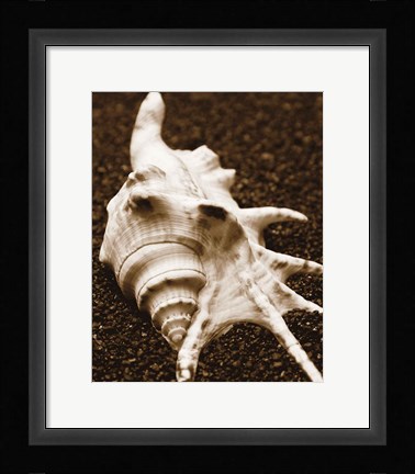 Framed Sea Gallery I Print