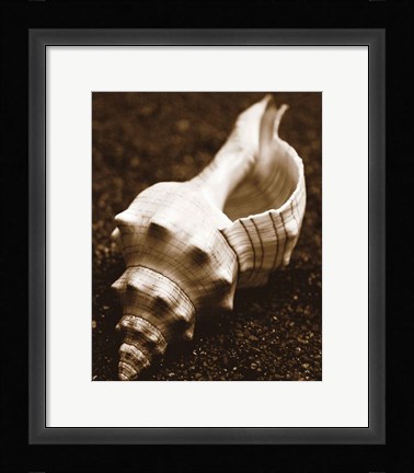 Framed Sea Gallery III Print