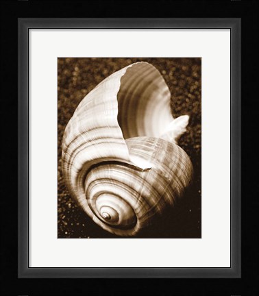 Framed Sea Gallery IV Print
