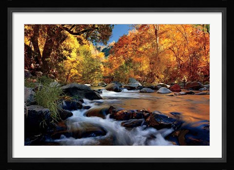 Framed River Of Gold Print