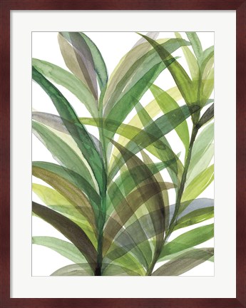 Framed Tropical Greens II Print