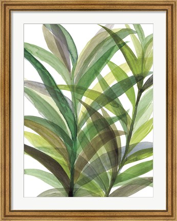 Framed Tropical Greens II Print
