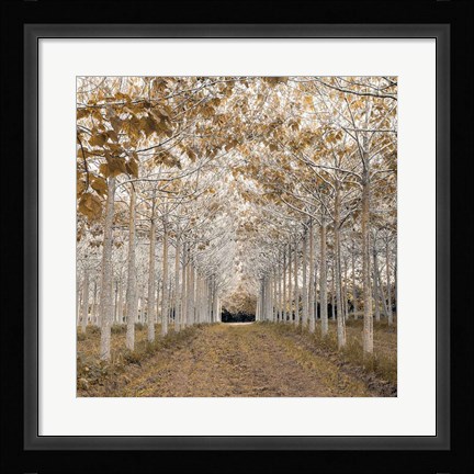 Framed White Gold Print