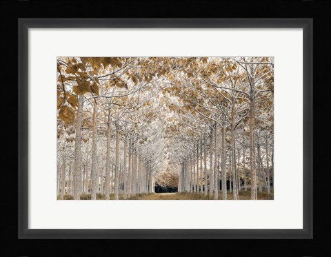Framed White Gold Print