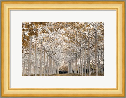 Framed White Gold Print