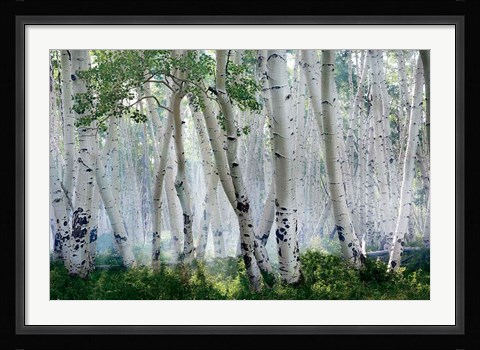 Framed Up in the Clouds Print