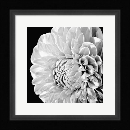 Framed Sunburst II Print