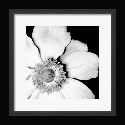 Framed Sunburst IV Print