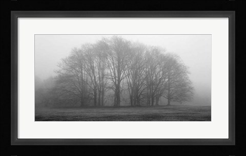 Framed Gathering Trees Print