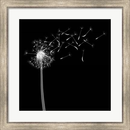 Framed Into the Night II Print