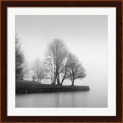 Framed Fog and Trees at Dusk Print