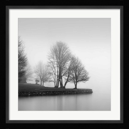 Framed Fog and Trees at Dusk Print