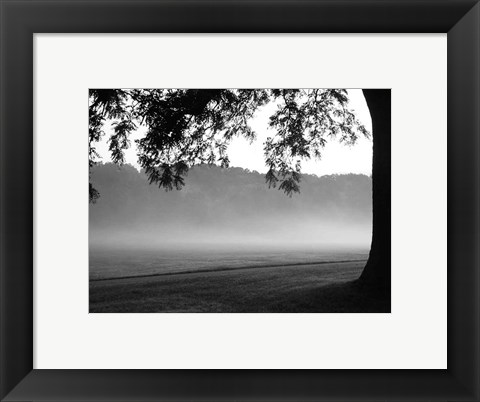 Framed Fog in the Park I Print