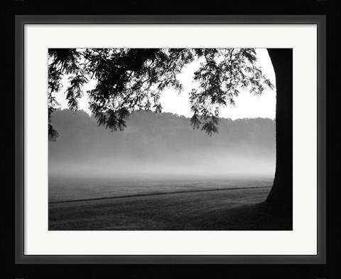 Framed Fog in the Park I Print