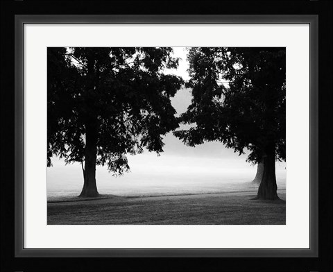 Framed Fog in the Park II Print