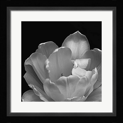 Framed Summer's Comfort Print