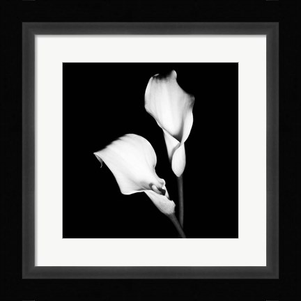 Framed Calla Portrait I Print