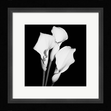 Framed Calla Portrait II Print