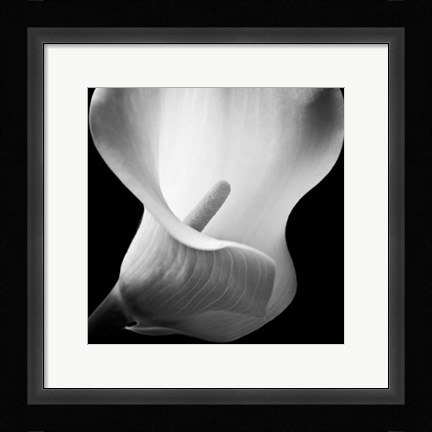 Framed Softness I Print