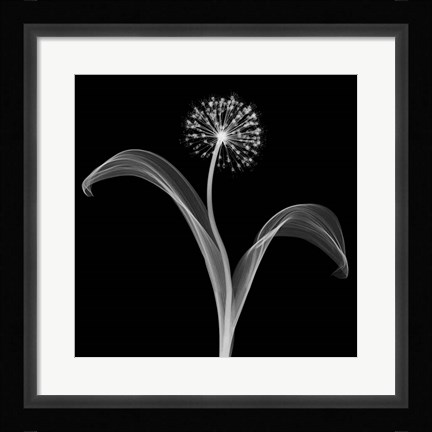 Framed Into the Night I Print