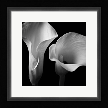 Framed Softness II Print