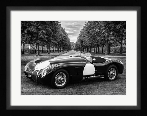 Framed Vintage Roadster in a Park Print