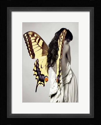 Framed Winged Beauty #3 Print