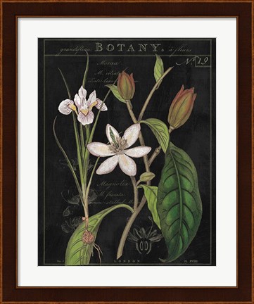 Framed Vintage White Flora III Print