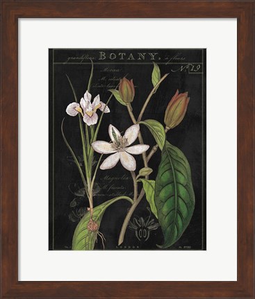 Framed Vintage White Flora III Print