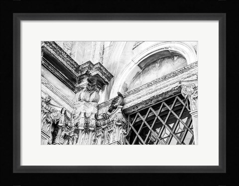 Framed Looking Up Print