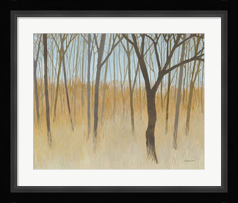 Framed Misty Woods Print