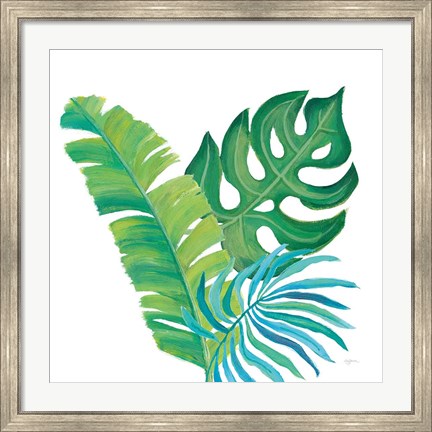 Framed Coconut Palm VII Print