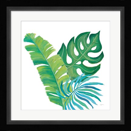 Framed Coconut Palm VII Print